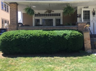 Bush Trimming by Demetrius Bennett Jr for Roberth R. in Lakewood, OH