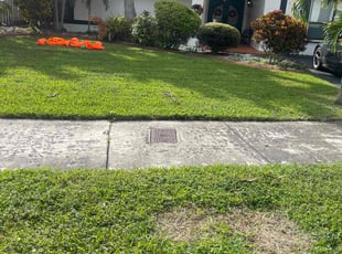 Frank M.'s Lawn Mowing service result