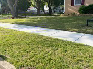Gregory V.'s Lawn Mowing service result