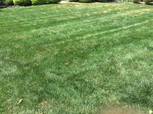 Cleanups by Dee Garrett for Jacob M. in Cincinnati, OH