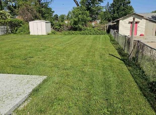 courtney f.'s Lawn Mowing service result