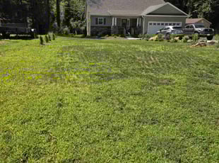 Nan L.'s Lawn Care service result