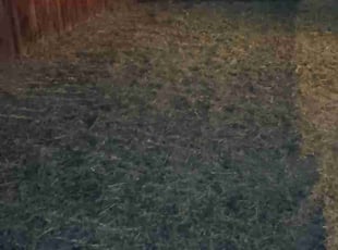 Cleanups by Brandon Tortone for Stephen F. in Greenwood Village, CO
