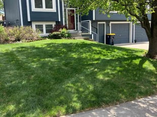 Debra P.'s Yard Cutting service result