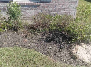 Weeding by Gregory Lewis for Alisa E. in Denham Springs, LA