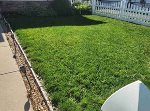 Mike A.'s Lawn Service service result
