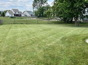 Jane B.'s Yard Cutting service result