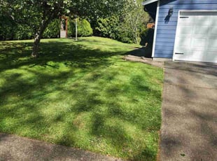 Brian O.'s Lawn Care service result