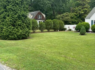 Tracy T.'s Yard Cutting service result
