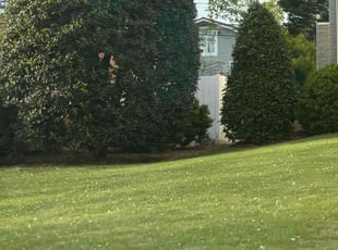 Bush Trimming by Jillian Ward for James E. in Huntsville, AL