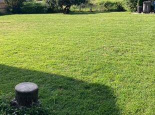 Edward J.'s Lawn Maintenance service result