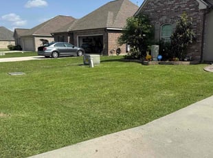 Steven T.'s Yard Cutting service result