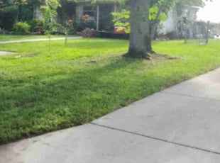 Corey K.'s Lawn Service service result
