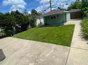 Sandra T.'s Lawn Service service result