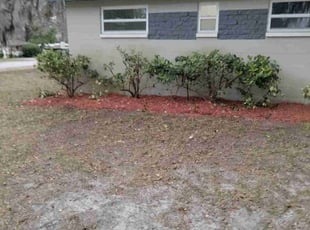 Bush Trimming by Robert Williams for Andricus G. in Orange Park, FL