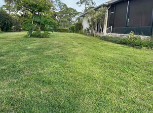 Cole G.'s Lawn Service service result