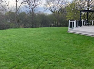 Nancy M.'s Grass Cutting service result