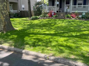 Diane M.'s Grass Cutting service result
