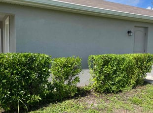 Bush Trimming by Zach Hinkle for Maggie G. in Cape Coral, FL