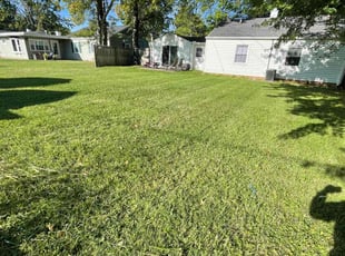 Abood A.'s Yard Cutting service result