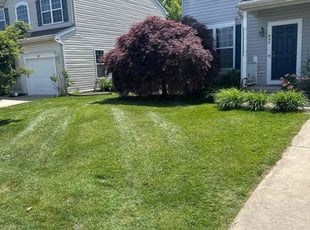 Sandra C.'s Grass Cutting service result