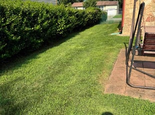 Pearl M.'s Lawn Mowing service result