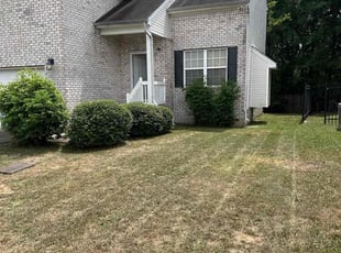 Mario P.'s Lawn Service service result