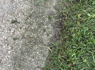 Anwar T.'s Lawn Care service result
