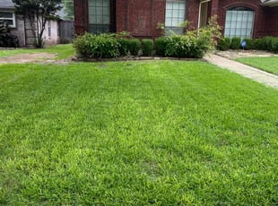 Linda W.'s Yard Cutting service result