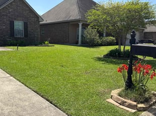 Tanner J.'s Lawn Mowing service result