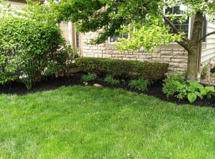Mulching by Mike Williams for Lisa K. in Westerville, OH
