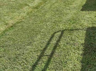 Johnetta E.'s Lawn Mowing service result