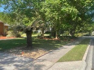 Kenny O.'s Lawn Care service result