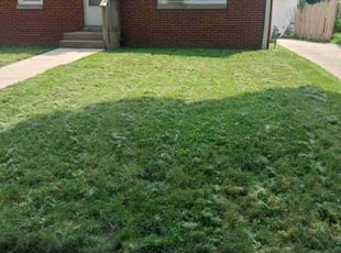 Tracey E.'s Lawn Care service result