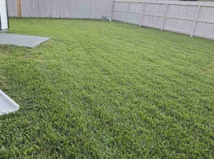 Linda N.'s Lawn Service service result