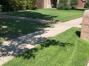 Kevin B.'s Lawn Mowing Service service result