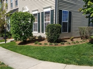 Bush Trimming by Mark Burke for Larry B. in Bristow, VA