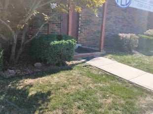 Austin L.'s Bush Trimming service result