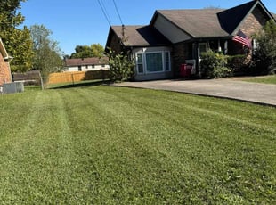 Adam C.'s Lawn Mowing Service service result