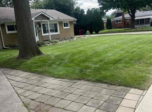 Justin S.'s Lawn Mowing service result