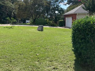 Cassandra J.'s Lawn Service service result