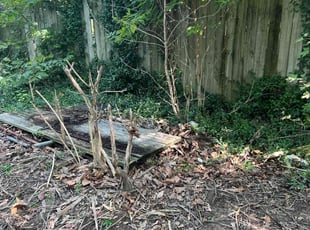 Cleanups by Dashaun Fykes for Brenden J. in Indianapolis, IN