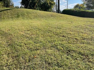 Weeding by Brad Thomas for Hope G. in Nashville, TN