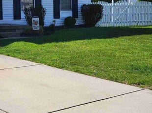Bush Trimming by Kelvin Williams for Adrienne D. in Glassboro, NJ
