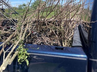 Cleanups by Cordell Fox for Brenda P. in Park Forest, IL