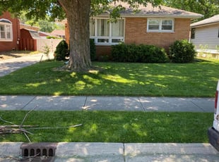 Sonya S.'s Lawn Mowing service result