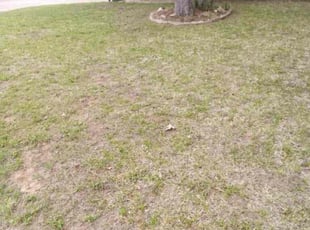 Cleanups by Nora Avila for Gail P. in Arlington, TX