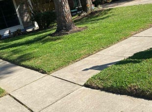 Connie M.'s Grass Cutting service result