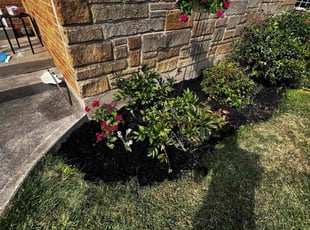 Bush Trimming by James Abernathy for Cheri C. in Cincinnati, OH