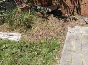 Cleanups by John GABALDON for Nicole N. in Portland, OR